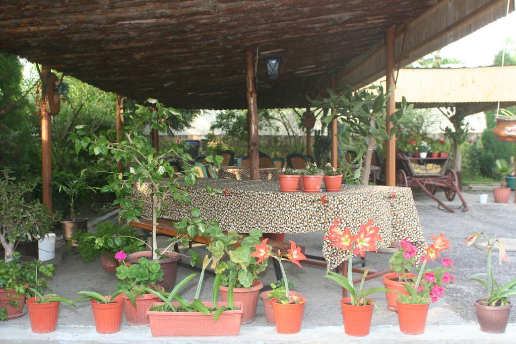 Guest House Edelvais Dve Mogili Kültér fotó